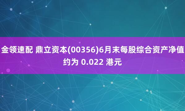 金领速配 鼎立资本(00356)6月末每股综合资产净值约为 0.022 港元