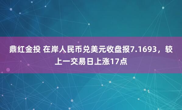 鼎红金投 在岸人民币兑美元收盘报7.1693，较上一交易日上涨17点