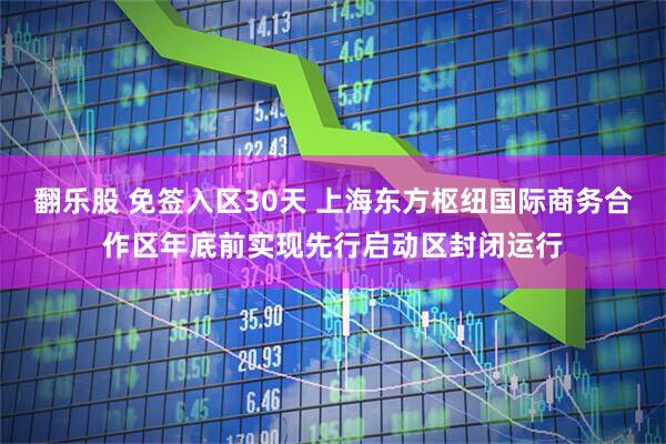 翻乐股 免签入区30天 上海东方枢纽国际商务合作区年底前实现先行启动区封闭运行