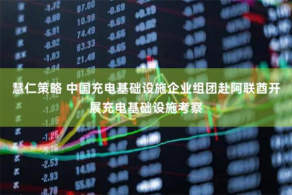 慧仁策略 中国充电基础设施企业组团赴阿联酋开展充电基础设施考察