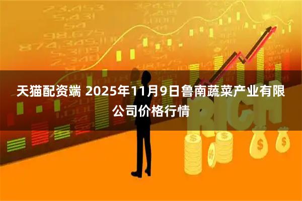 天猫配资端 2025年11月9日鲁南蔬菜产业有限公司价格行情