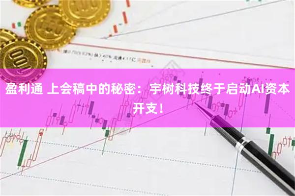 盈利通 上会稿中的秘密：宇树科技终于启动AI资本开支！