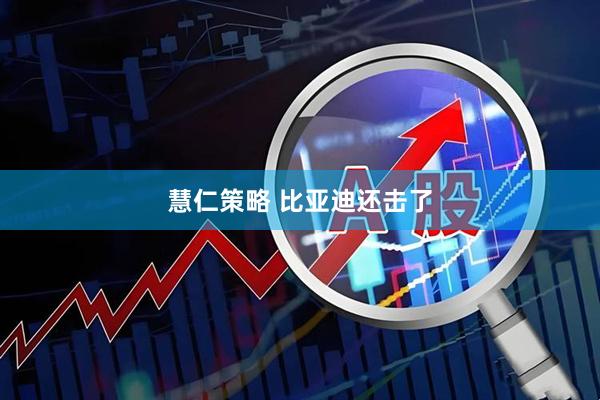 慧仁策略 比亚迪还击了